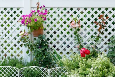 Adds Beauty to Your Home!