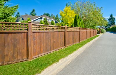 Provide Safety for Your Family and Pets