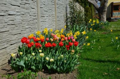 Stone or Brick Privacy Fence