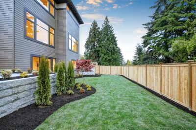 Create a Beautiful Boundary to Your Backyard