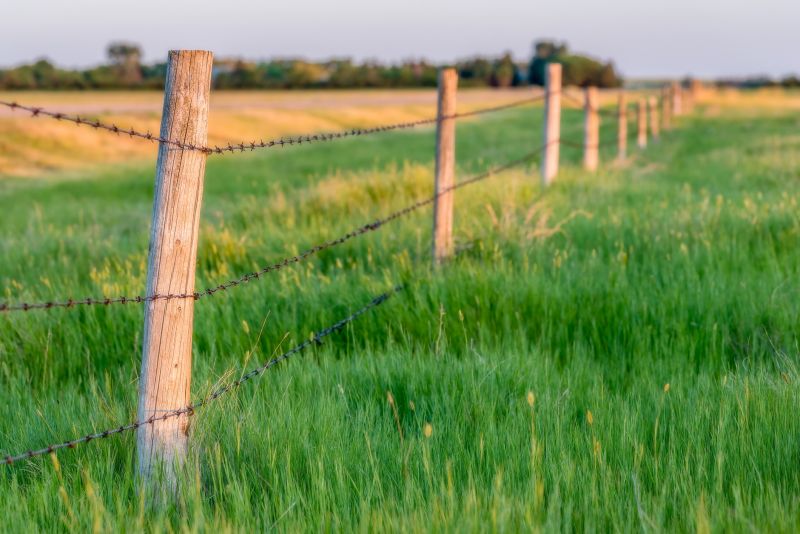 Fence Services Overview